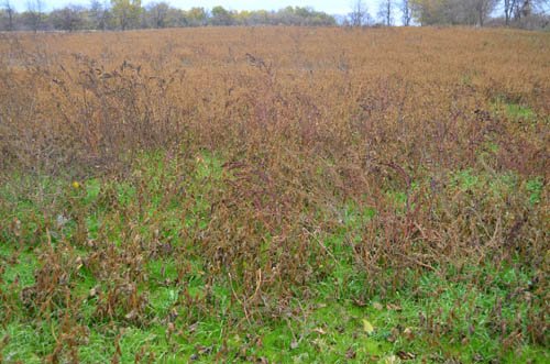Property photo 54 - 80 Acres & Home - Property Offered in 4 Tracts from 2.3 to 30.0 Acres